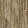 Picture of Cape Town SALE Kronotex Laminate flooring Exquisit CANYON MAPLE