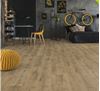 Picture of JHB SALE Kronotex Laminate Flooring  Advanced Welsh Oak Nature