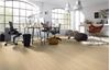 Picture of Cape Town SALE Kronotex Laminate flooring Advanced Plus FINLAY OAK BEIGE