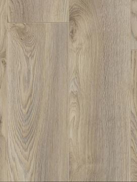 Picture of JHB SALE Kronotex LAMINATE FLOORING Mammut Plus MACRO OAK BEIGE