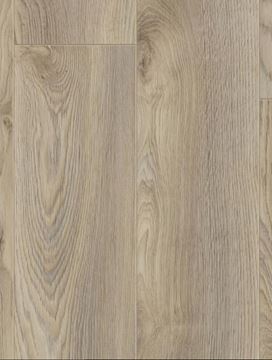 Picture of Cape Town SALE Kronotex LAMINATE FLOORING Mammut Plus MACRO OAK BEIGE