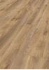 Picture of Cape Town SALE Kronotex  LAMINATE FLOORING Mammut Plus MACRO OAK NATURE