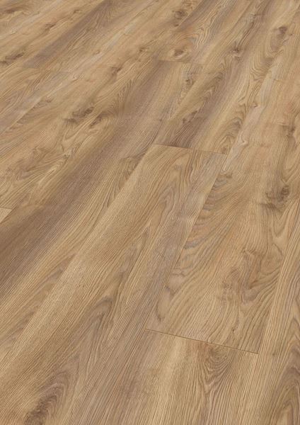 Picture of Cape Town SALE Kronotex  LAMINATE FLOORING Mammut Plus MACRO OAK NATURE